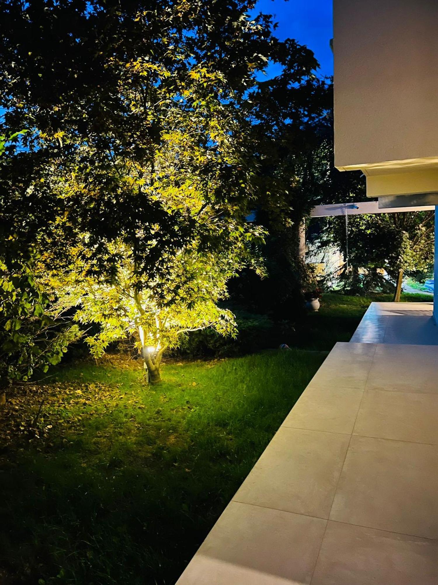 Вилла Evie'S Tree House Dragomirna Экстерьер фото